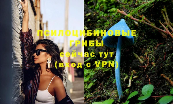 первитин Тихвин