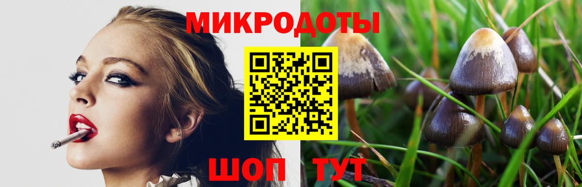 Люберцы  Галлюциногенные грибы Psilocybine cubensis  Вход с VPN  Псилоцибиновые грибы GOLDEN TEACHER 